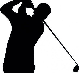 SPH Boys Golf Results